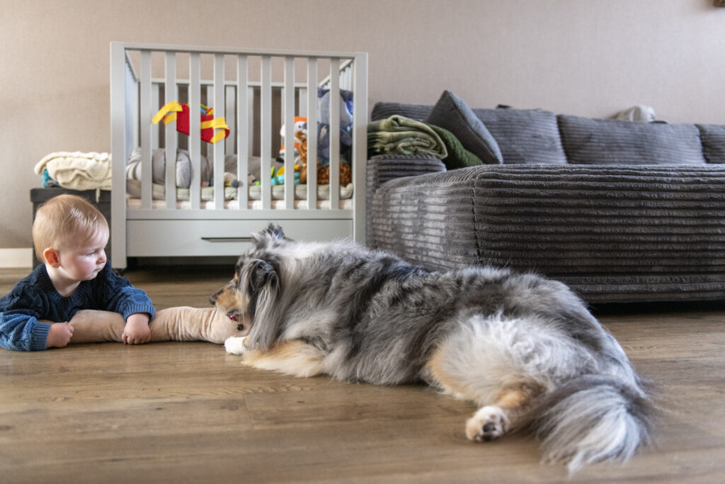 Top-Floors-for-Children-and-Pets
